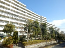 建物の表面の遊歩道・建物は定期的な大規模修繕できれい