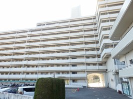 建物全体の北面・１番館・２番館・３番館の車路部分