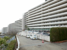 建物全体の北面の通路・通路際は来客用の駐車スペース