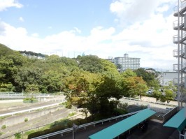 共用廊下からの眺め②自然豊かな街並み 共用廊下からの眺め②自然豊かな街並み