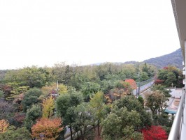 バルコニーからの眺め・目の前は散歩ができる遊歩道 バルコニーからの眺め・目の前は散歩ができる遊歩道