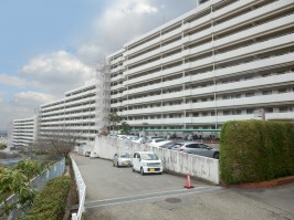 建物全体の北面の通路・通路際は来客用の駐車スペース