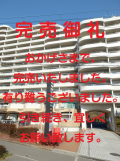 建物全体の南面の外観・正面の出入口面