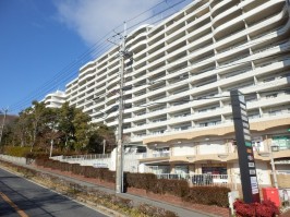 建物全体の南面の外観・手前が４番館で奥が５番館