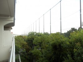 バルコニーからの眺め・目の前は散歩ができる遊歩道 バルコニーからの眺め・目の前は散歩ができる遊歩道
